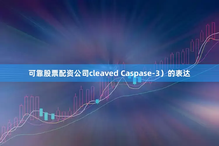 可靠股票配资公司cleaved Caspase-3）的表达