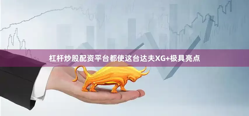 杠杆炒股配资平台都使这台达夫XG+极具亮点