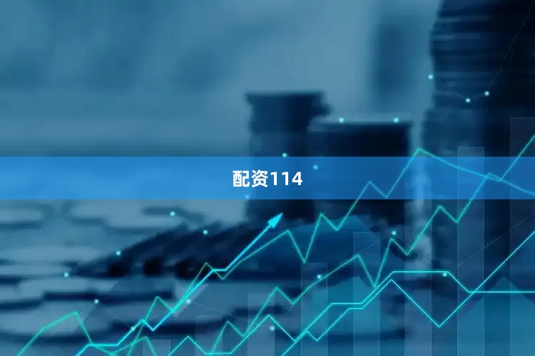 配资114